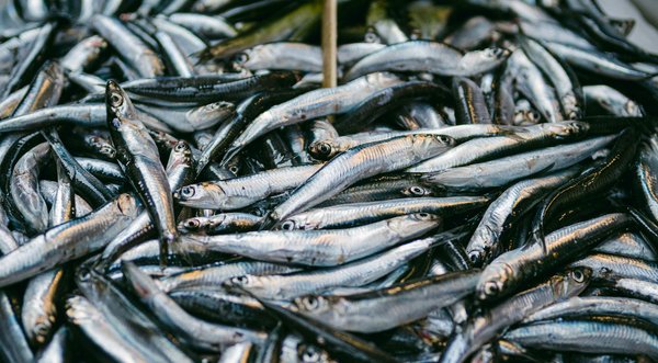 Les meilleurs sites cbd de 2025 : notre sélection fiable !